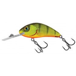 1 3/8" Rattlin Hornet 3.5 - Floating - Salmo Lures Fishing