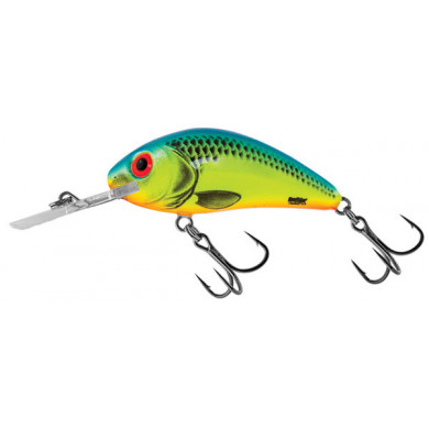 2.5" Rattlin' Hornet 6.5 - Floating - Salmo Lures Fishing