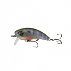 3.1" Movement 80  Wake - 6th Sense Fishing 3.1" Movement 80  Wake - 6th Sense Fishing