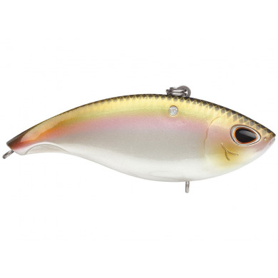 2-3/4" Arsahi Rattling Vibe 7 - Storm Fishing