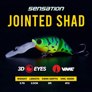 Sensation Jointed Shad - Sensation Fishing
