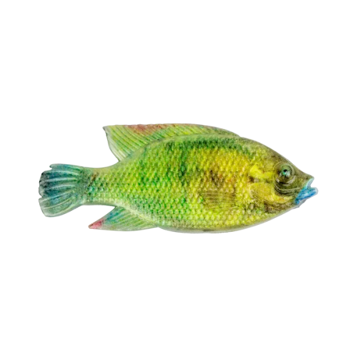 4" Natural Kurper - Cullem Pro Series Fishing