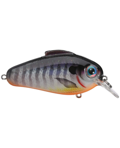 2.5" Echo 1.75 - Bill Lewis Fishing 2.5" Echo 1.75 - Bill Lewis Fishing