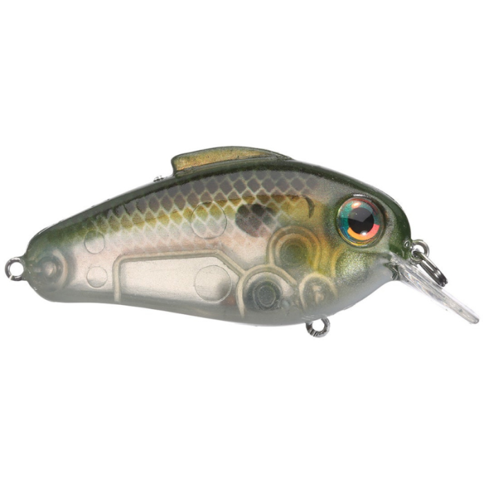 2.5" Echo 1.75 - Bill Lewis Fishing