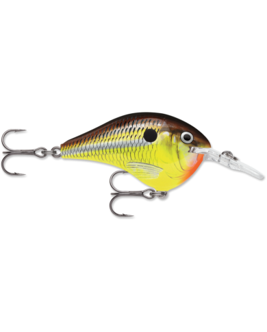 2" DT04 (Dive To Series) - Rapala Fishing