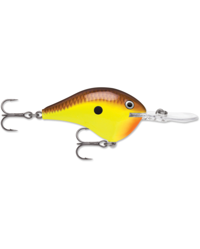 2 3/4" DT14 (Dive To Series) - Rapala Fishing