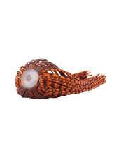 Spinnerbait Replacement Skirts - Sensation Fishing