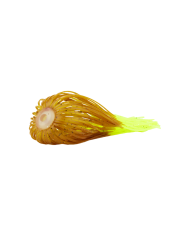 Fire Tip Replacement Skirts - Sensation Fishing