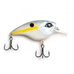 2.5" Flat Banger - Googan squad Fishing