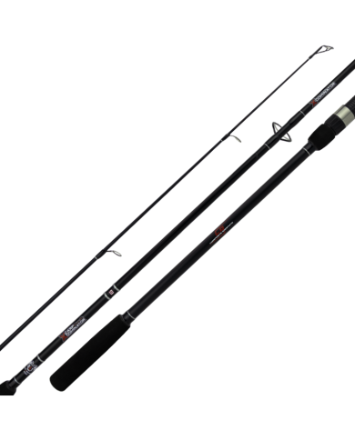 Carp Dominator Series - Spinning (2 piece) - BAT Fishing