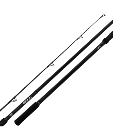 Soul Low Rider - Spinning (2 piece) - BAT Fishing