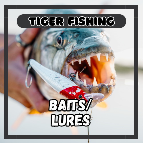 Baits/Lures