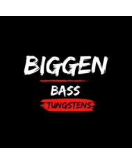 Biggen Bass Tungstens