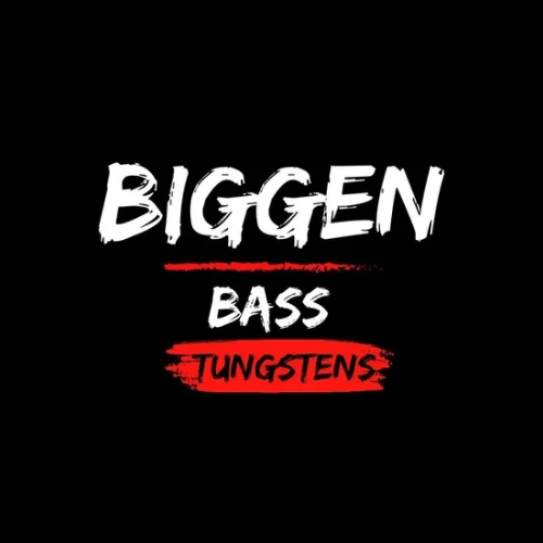 Biggen Bass Tungstens