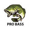 Pro Bass Magic