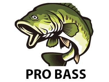 Pro Bass Magic